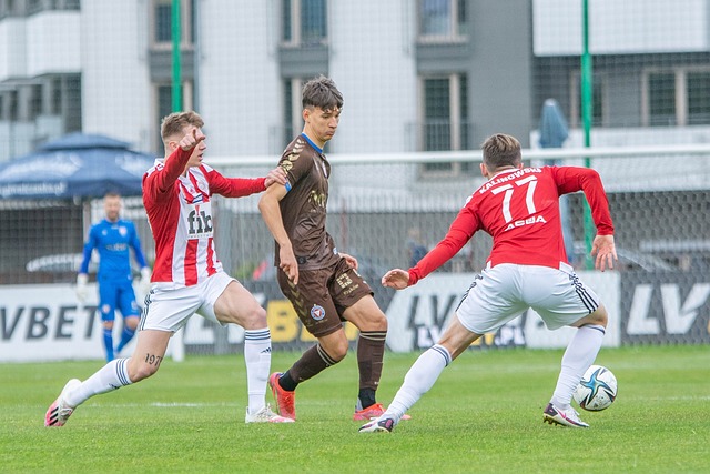 了一个新的 了一个新的