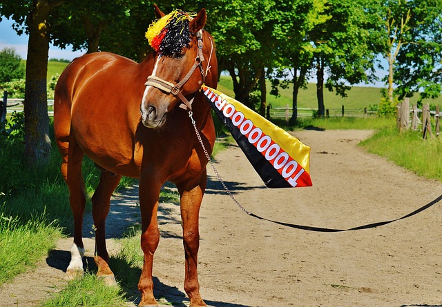 耻辱！湖人12秒领先5分仍输球，公牛进3个三分罪魁祸首均是詹姆斯.