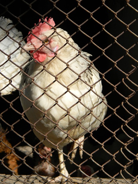 【在现场】伊万：想亲自肉眼观察侯永永的发挥 目标前四不会改变.